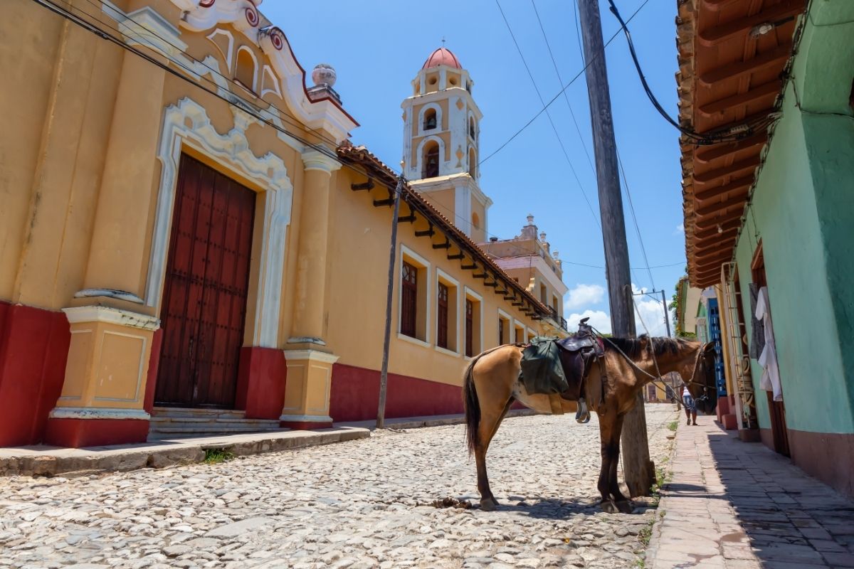 Animals Of Cuba