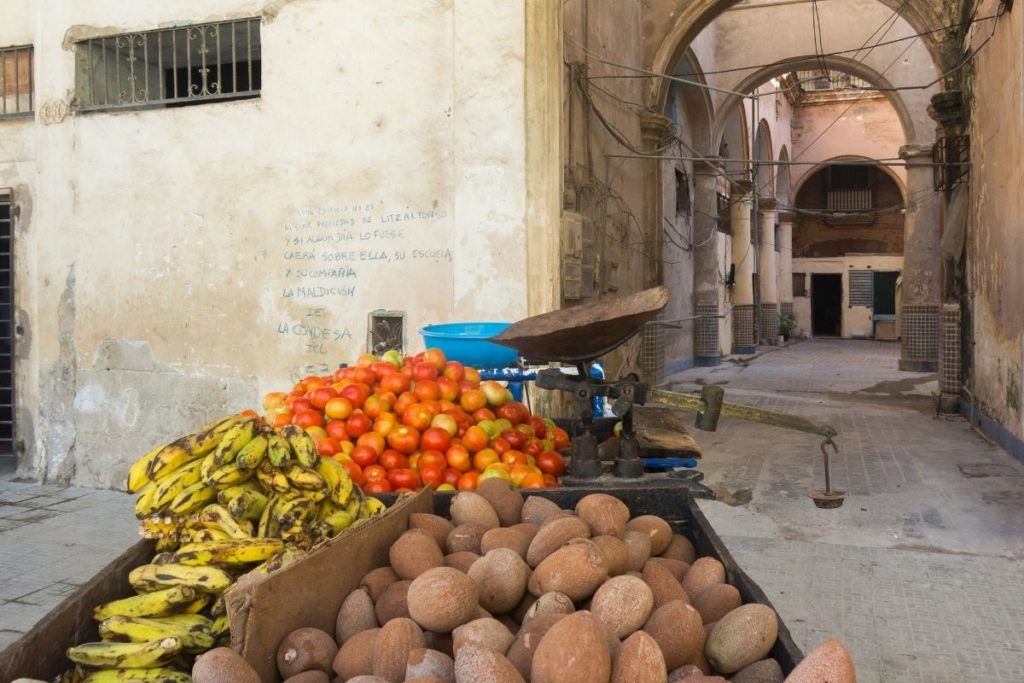 10 Fruits You Need To Try While In Cuba