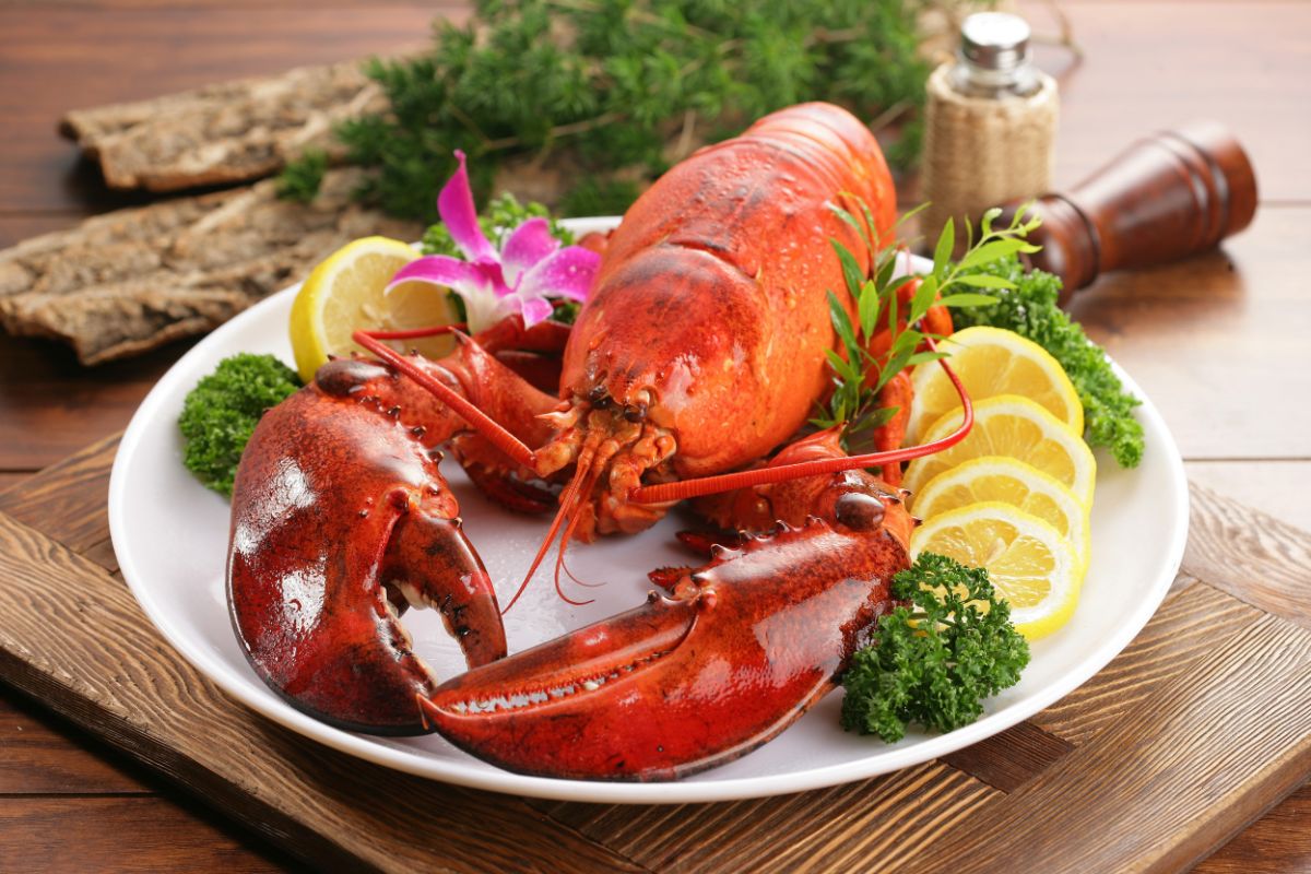 Are There Lobsters In Cuba (Lobster Season & More)