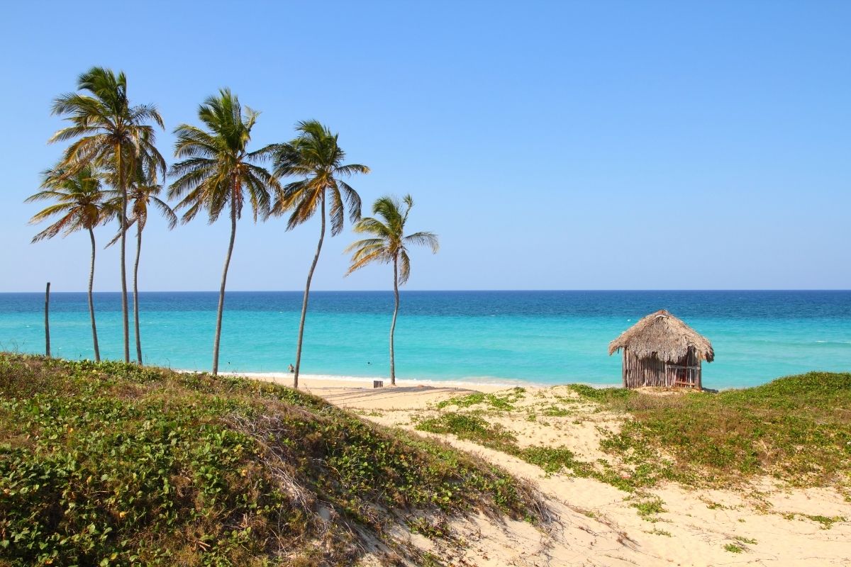 Cuba In The Dry Season