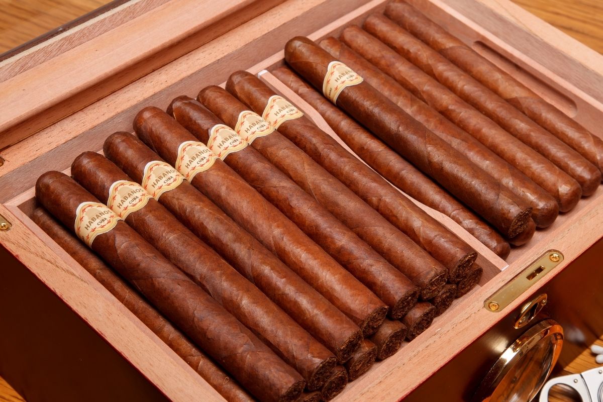 Cuban Cigars