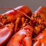 Is Eating Lobster Illegal In Cuba?