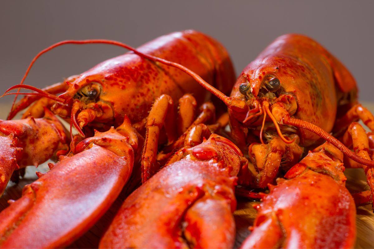 Is Eating Lobster Illegal In Cuba?
