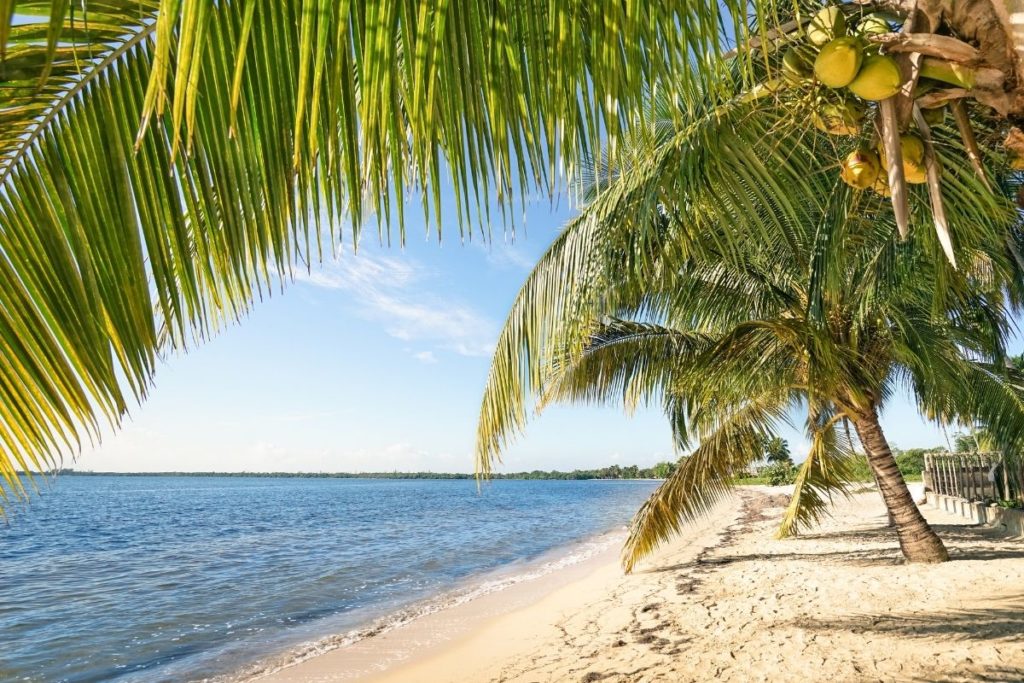 Playa Larga, Matanzas