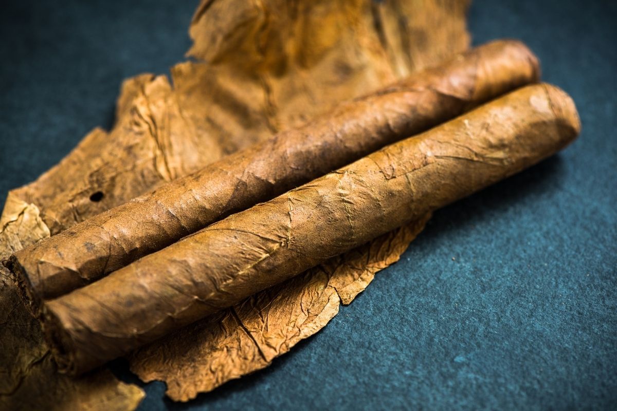 cuban tobacco