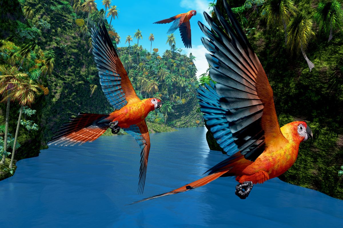 Are Cuban Macaws Extinct?
