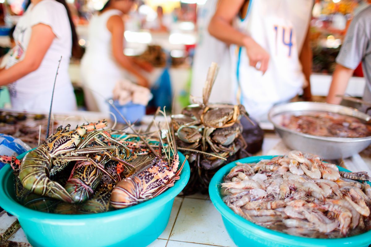 Selling Shrimps And Lobster Is Prohibited