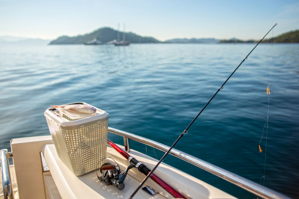 Fishing With Larry Cuba Liveaboard Fly Fishing